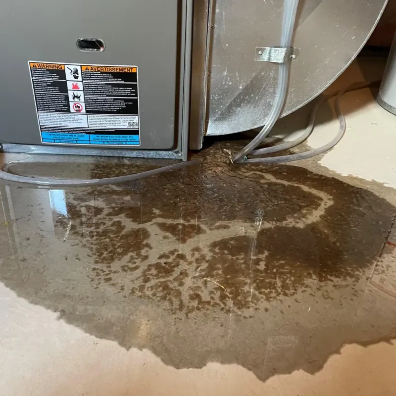 Appliance Leak Cleanup in City of Winchester, VA