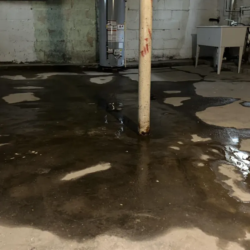 Emergency Water Extraction And Removal in City of Winchester, VA